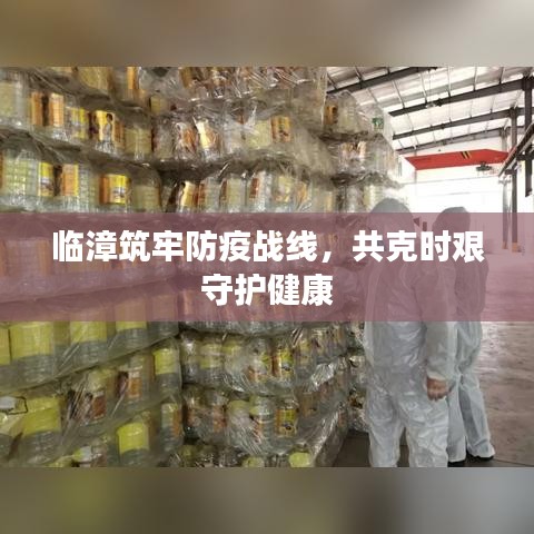 临漳筑牢防疫战线,共克时艰守护健康
