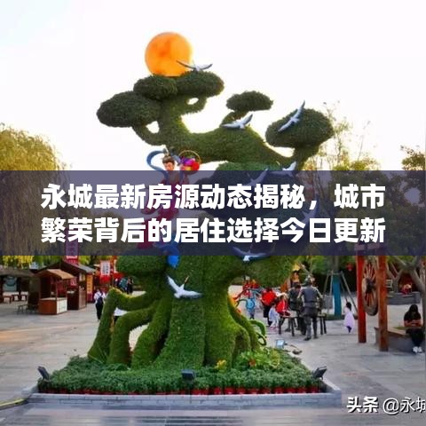 永城最新房源动态揭秘，城市繁荣背后的居住选择今日更新