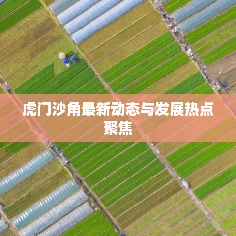 虎门沙角最新动态与发展热点聚焦
