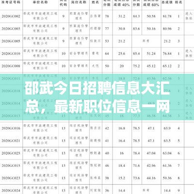 邵武今日招聘信息大汇总,最新职位信息一网打尽!