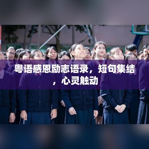 粤语感恩励志语录,短句集结,心灵触动