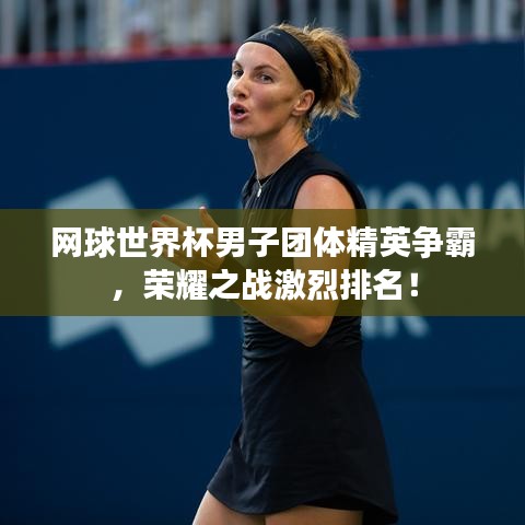 网球世界杯男子团体精英争霸，荣耀之战激烈排名！