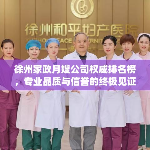 徐州家政月嫂公司权威排名榜,专业品质与信誉的终极见证