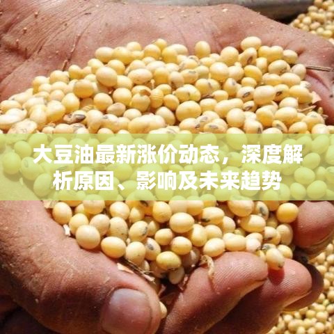 大豆油最新涨价动态，深度解析原因、影响及未来趋势