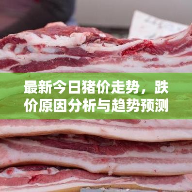 最新今日猪价走势，跌价原因分析与趋势预测