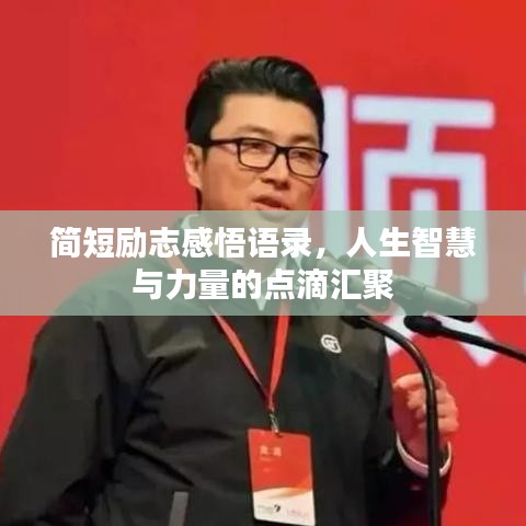 简短励志感悟语录，人生智慧与力量的点滴汇聚