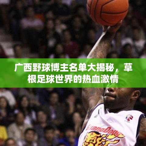 广西野球博主名单大揭秘，草根足球世界的热血激情