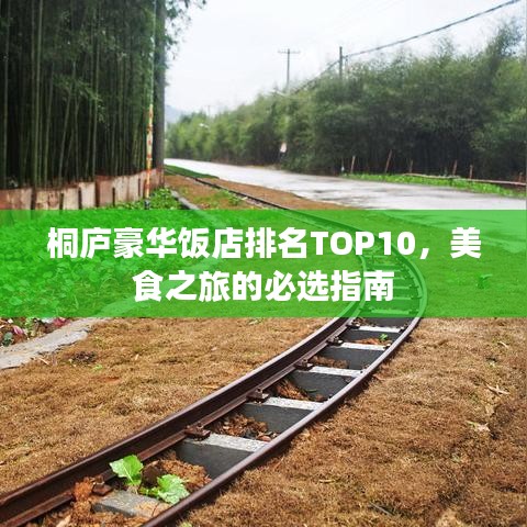 桐庐豪华饭店排名TOP10,美食之旅的必选指南