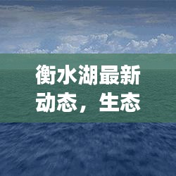 衡水湖最新动态，生态美景与休闲胜地再焕新篇章