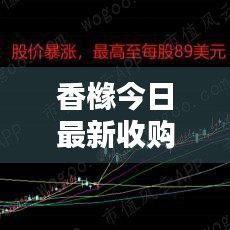 香橼今日最新收购价格揭秘