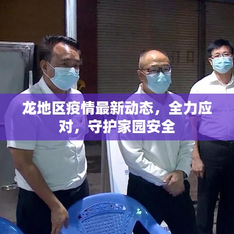 龙地区疫情最新动态，全力应对，守护家园安全