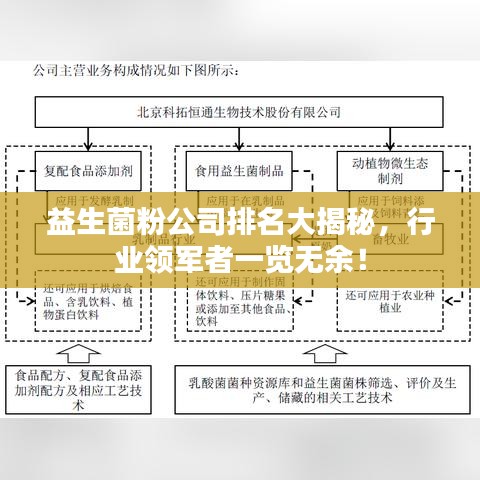 益生菌粉公司排名大揭秘，行业领军者一览无余！