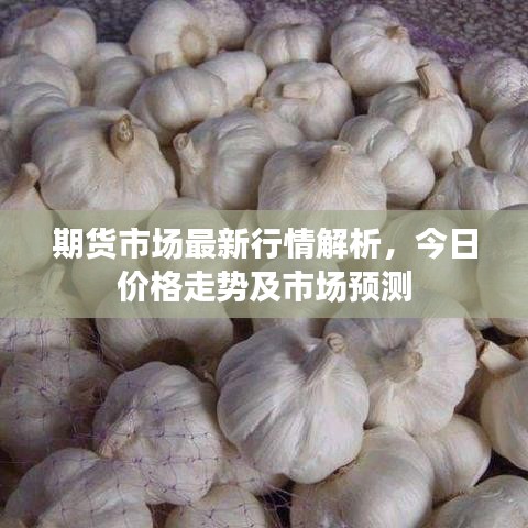 期货市场最新行情解析，今日价格走势及市场预测