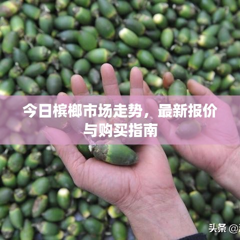 今日槟榔市场走势，最新报价与购买指南