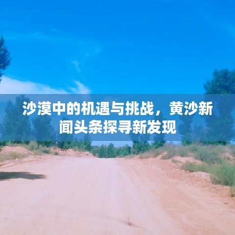 沙漠中的机遇与挑战，黄沙新闻头条探寻新发现