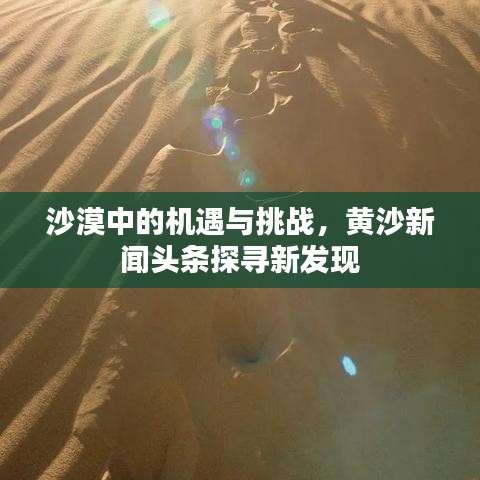 沙漠中的机遇与挑战,黄沙新闻头条探寻新发现