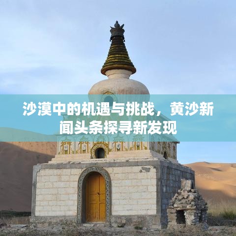 沙漠中的机遇与挑战,黄沙新闻头条探寻新发现