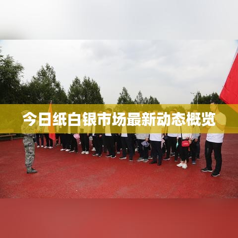 今日纸白银市场最新动态概览