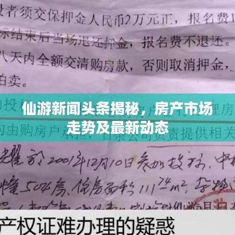 仙游新闻头条揭秘，房产市场走势及最新动态