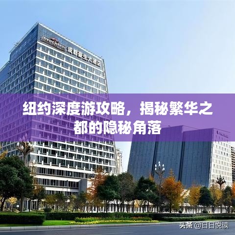 纽约深度游攻略，揭秘繁华之都的隐秘角落