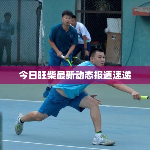 今日旺柴最新动态报道速递