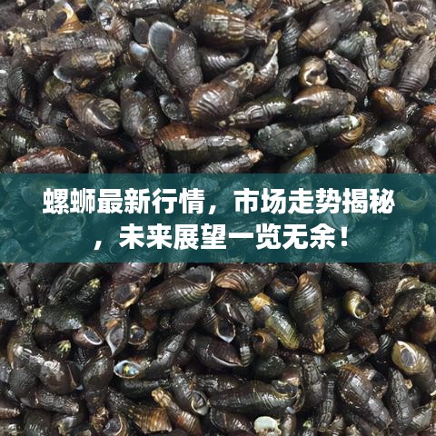 螺蛳最新行情，市场走势揭秘，未来展望一览无余！