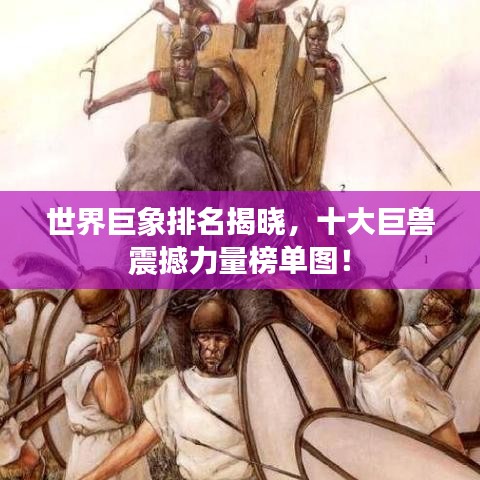 贵不期骄 第7页