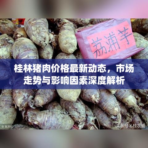 桂林猪肉价格最新动态，市场走势与影响因素深度解析
