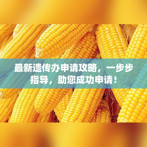 最新遗传办申请攻略，一步步指导，助您成功申请！