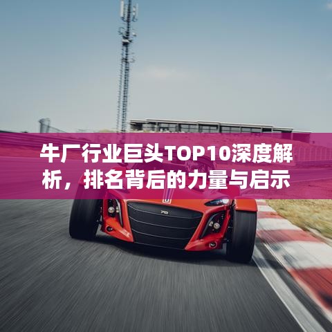 牛厂行业巨头TOP10深度解析,排名背后的力量与启示
