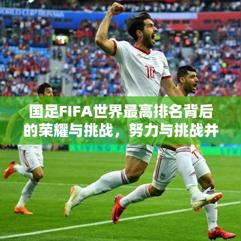 国足FIFA世界最高排名背后的荣耀与挑战，努力与挑战并存