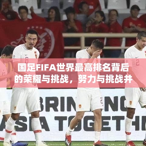国足FIFA世界最高排名背后的荣耀与挑战,努力与挑战并存