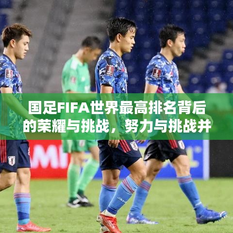 国足FIFA世界最高排名背后的荣耀与挑战,努力与挑战并存