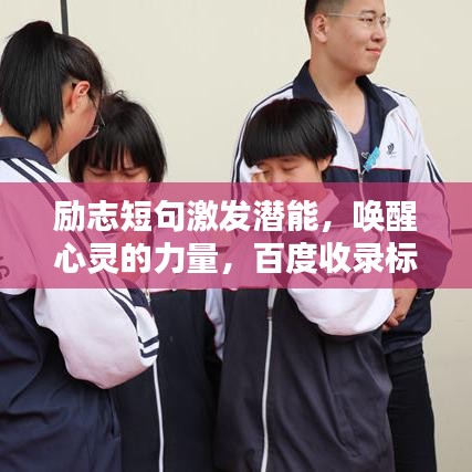 纲举目张 第8页