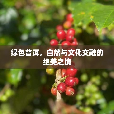 绿色普洱,自然与文化交融的绝美之境