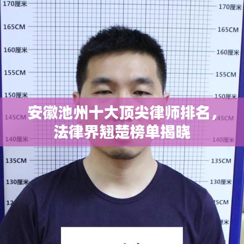 安徽池州十大顶尖律师排名，法律界翘楚榜单揭晓