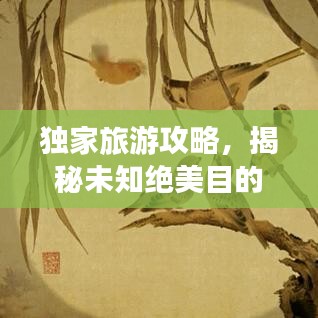 独家旅游攻略，揭秘未知绝美目的地，带你开启奇妙探险之旅！