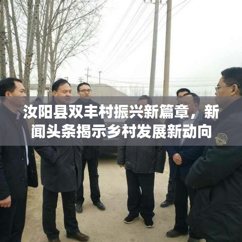 汝阳县双丰村振兴新篇章，新闻头条揭示乡村发展新动向