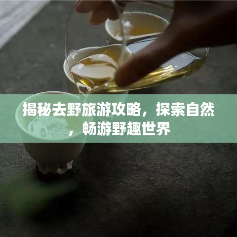 揭秘去野旅游攻略，探索自然，畅游野趣世界
