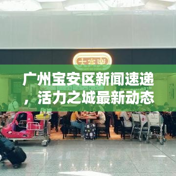 广州宝安区新闻速递，活力之城最新动态揭秘
