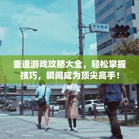 重逢游戏攻略大全,轻松掌握技巧,瞬间成为顶尖高手!
