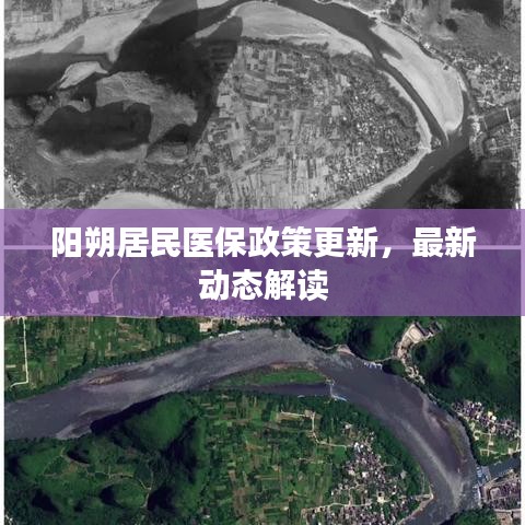 阳朔居民医保政策更新，最新动态解读