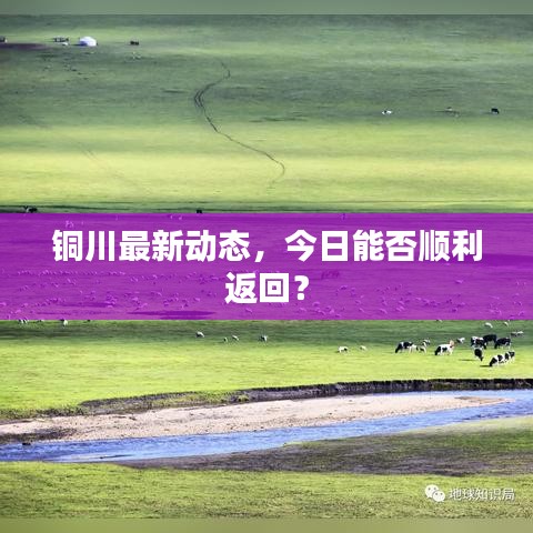 铜川最新动态，今日能否顺利返回？