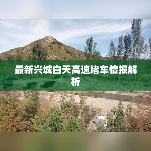 最新兴城白天高速堵车情报解析