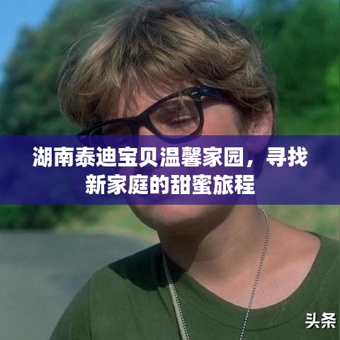 生张熟魏 第8页