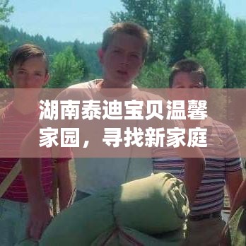 湖南泰迪宝贝温馨家园,寻找新家庭的甜蜜旅程