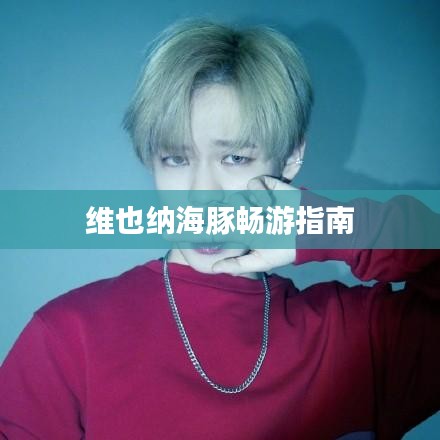 维也纳海豚畅游指南