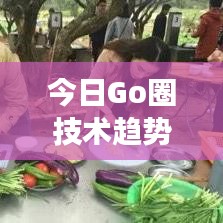 今日Go圈技术趋势报告，应用进展、生态繁荣一网打尽！