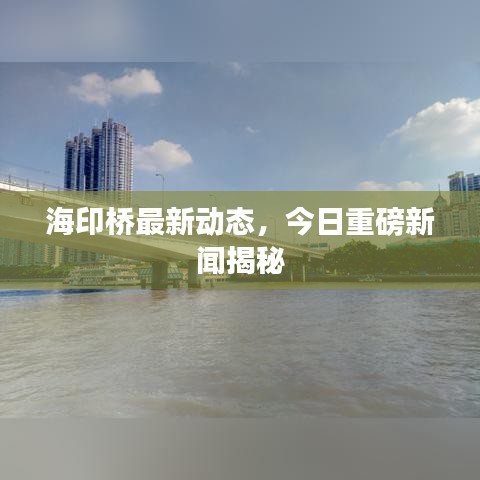 海印桥最新动态，今日重磅新闻揭秘
