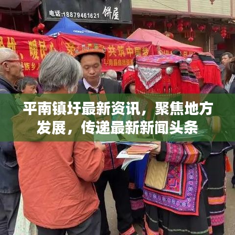 平南镇圩最新资讯，聚焦地方发展，传递最新新闻头条